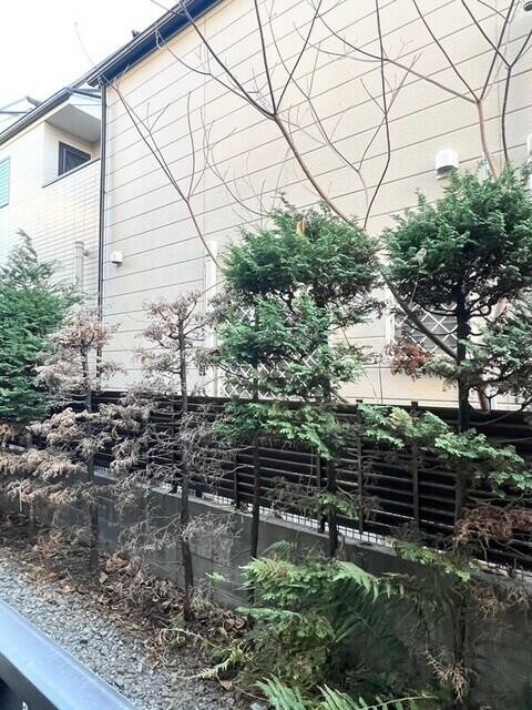 グランデッサ代沢の展望