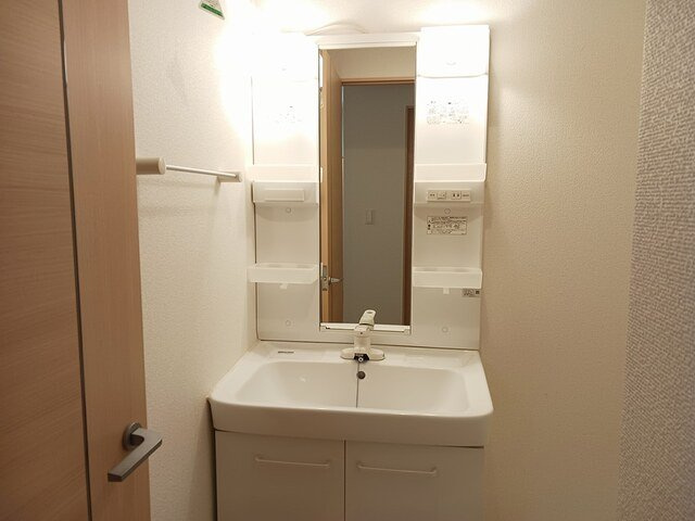 ソフテイルＤの洗面所|忙しい朝には欠かせない洗面所です