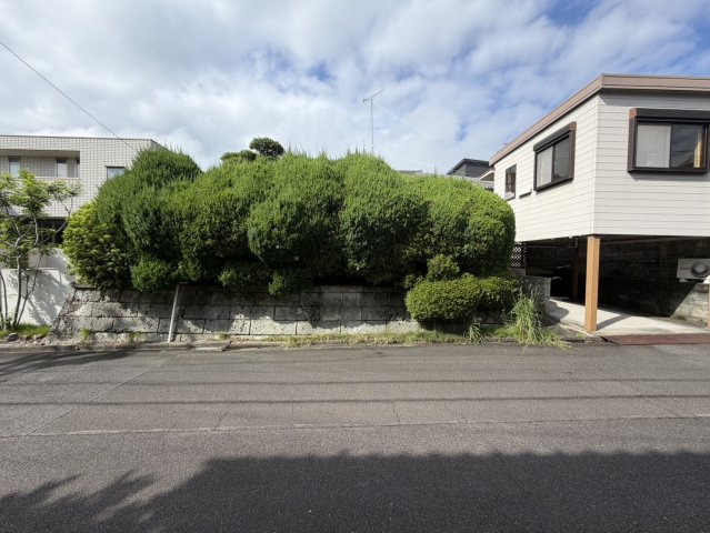 【前面道路含む現地写真】の画像