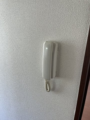 シェモアコトブキのセキュリティ