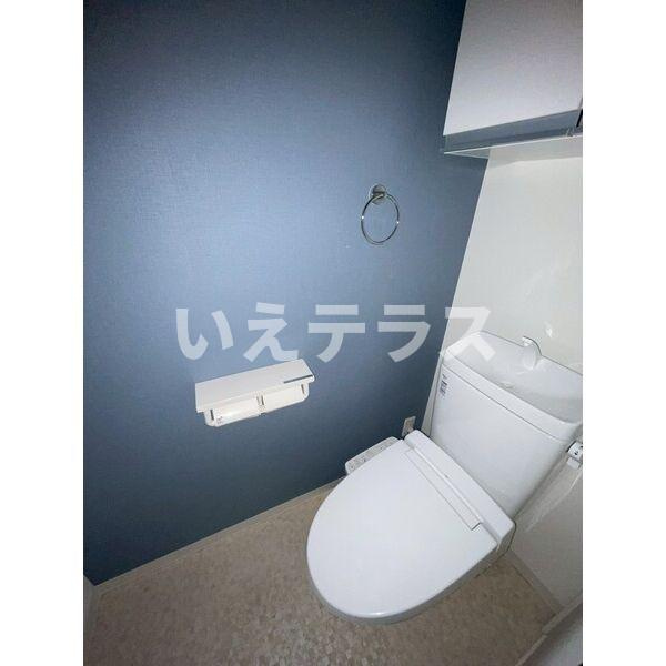 エヌエムスワサントシスのトイレ