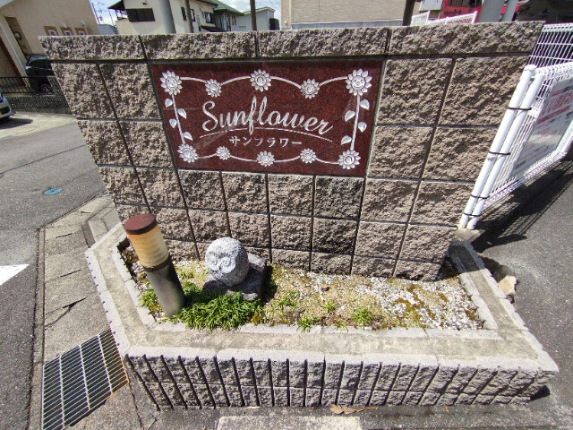 サンフラワーのその他