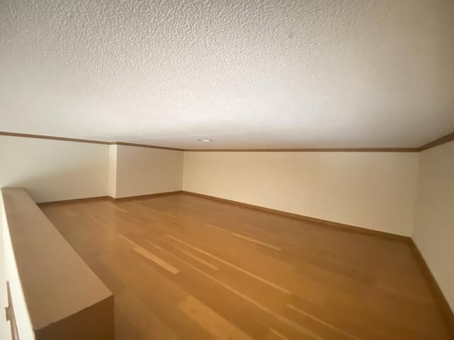 ワイズのその他