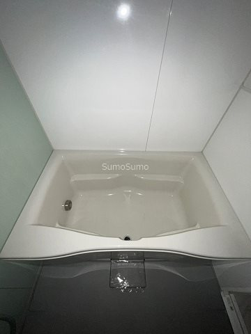 アルス大手前プレミアの浴室