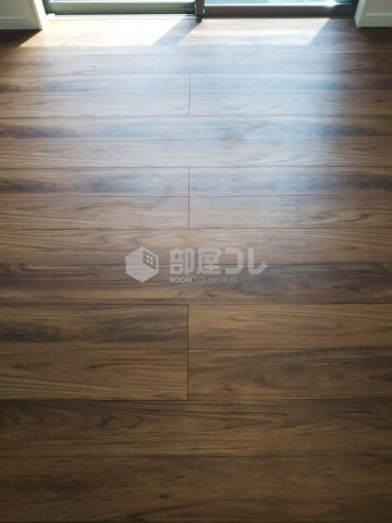 学大散歩