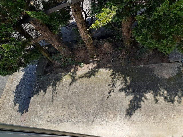 エスポアール・Ｔのその他