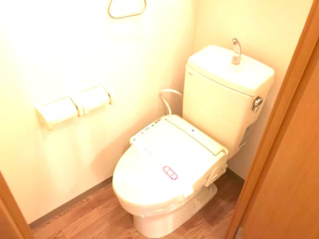 スカイグリーンのトイレ