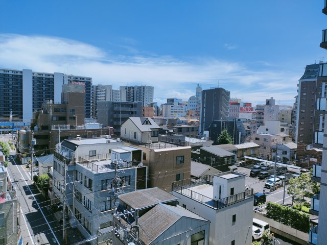 グランヴァンプレミアム新小岩の展望