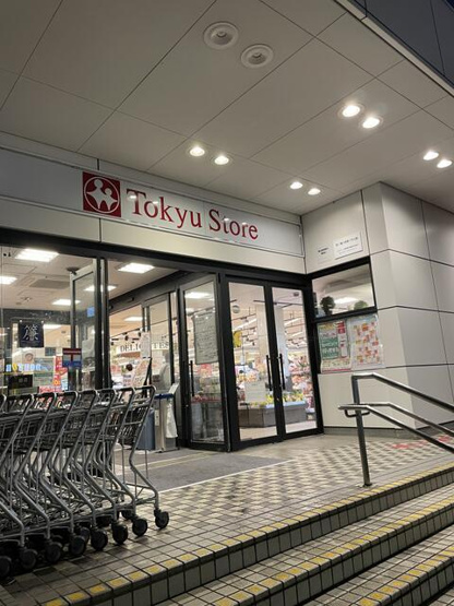 【周辺】 | 東急ストア洗足店まで293m