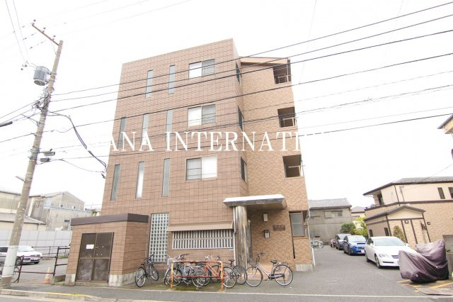 ラクダの外観
