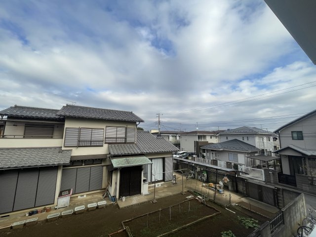 子犬と春風のダイアリーの展望|＊他号室参考写真