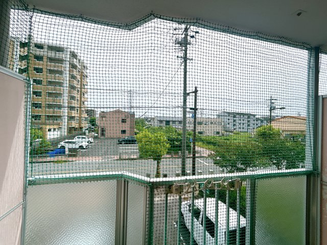レイク東郷の展望