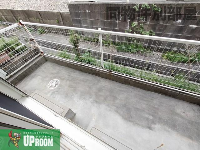 さくら弐番館の庭