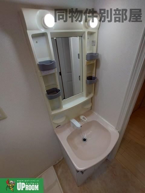 さくら弐番館の洗面所