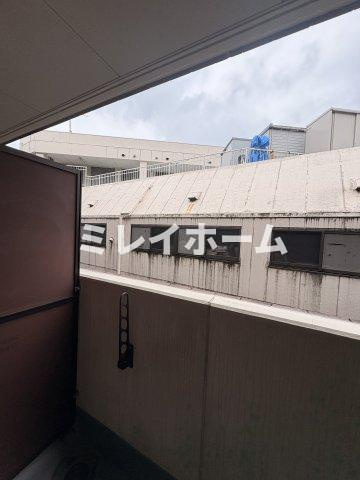 グリーンアレーの展望