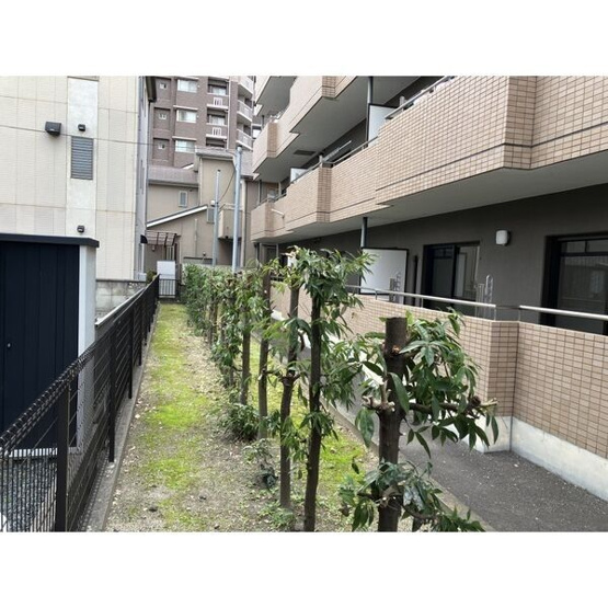 【庭】 | クリスタルヒルズ