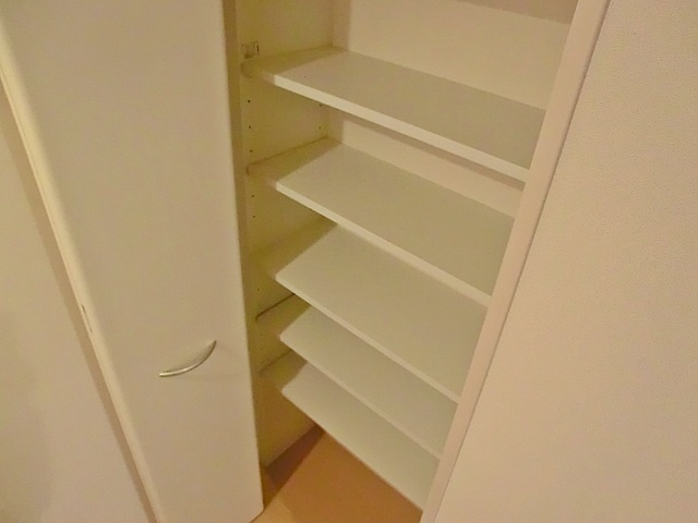 Ｄ－ｒｏｏｍエクウスの収納|廊下にも収納スペースあります！