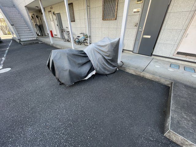 ウイング・パストラルのその他