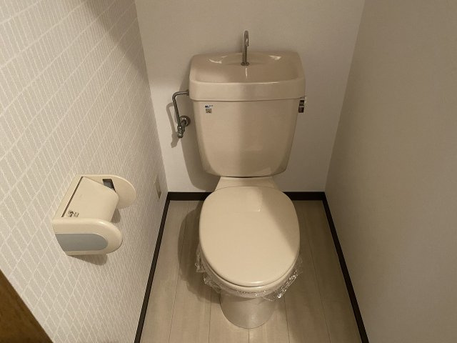 日恵ハイツＤ棟のトイレ
