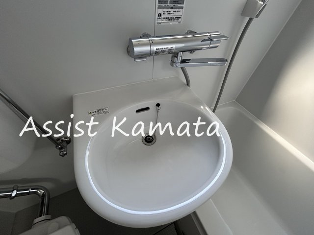 センチュリーパレス池上の洗面所