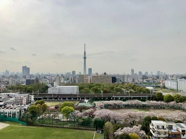 亀戸レジデンスの展望