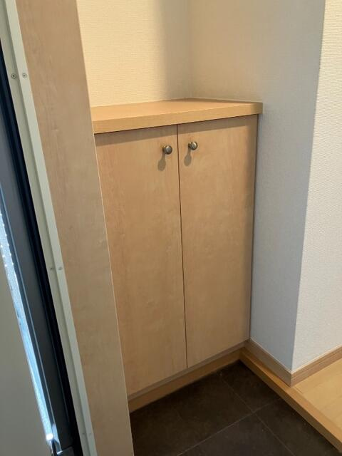シンフォニカのその他