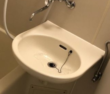 パレヴェール文京の洗面所