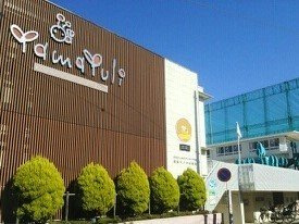湘南やまゆり幼稚園まで140m