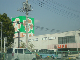ライフ木下店まで732ｍ