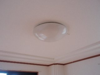証明