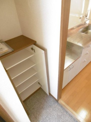 相模原市中央区淵野辺本町３丁目の賃貸マンションの玄関