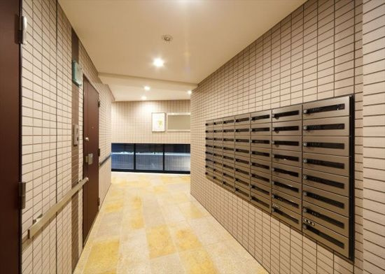 DIPS小竹向原