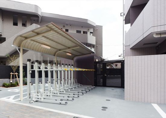 DIPS小竹向原