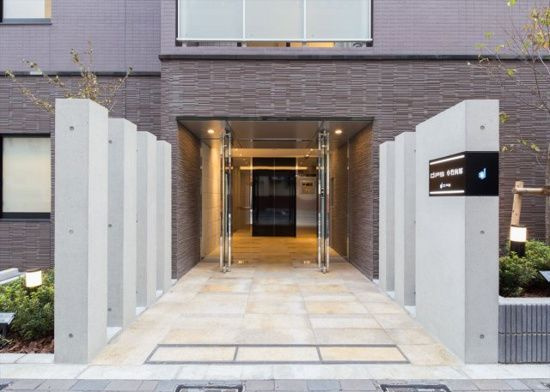 DIPS小竹向原