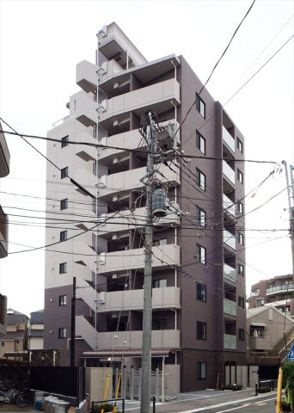 DIPS小竹向原