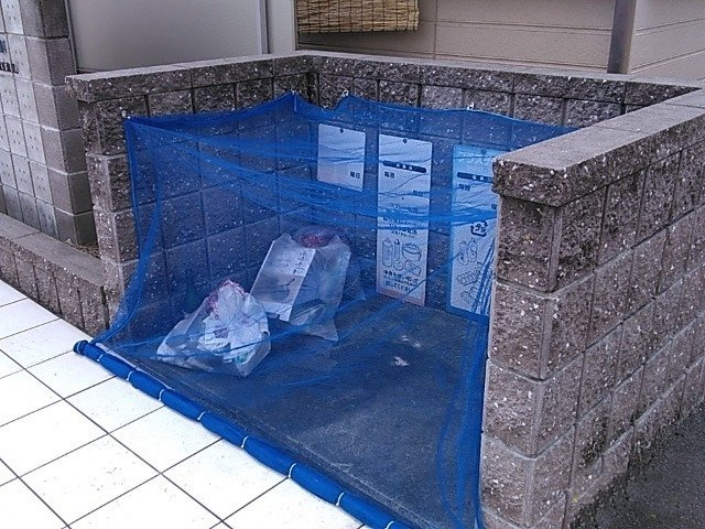ＣＡＲＡＲＵ森孝のその他