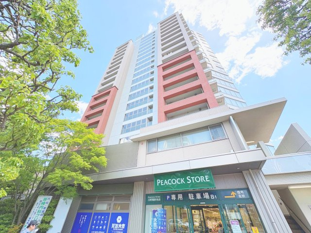 グランドメゾン三軒茶屋の杜の外観|グランドメゾン三軒茶屋の杜：「若林」駅徒歩５分！