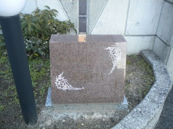 ルミエール成田のその他
