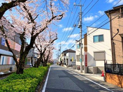 ａｒｏｍａ