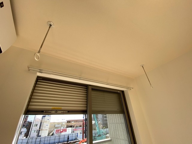 Ｃｅｌｔｉｓのその他