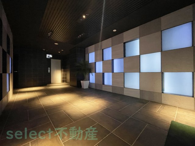 メイボーテセラのその他