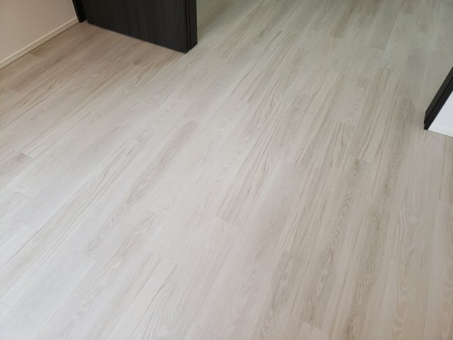 ラフィスタ新小岩Ⅲのその他