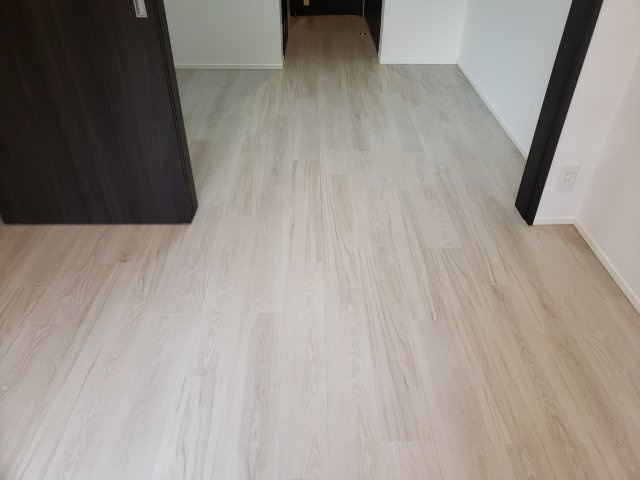 ラフィスタ新小岩Ⅲの内装
