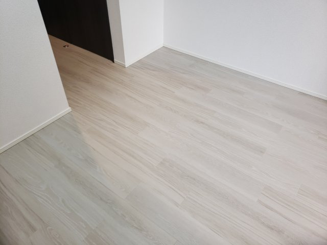 ラフィスタ新小岩Ⅲの内装