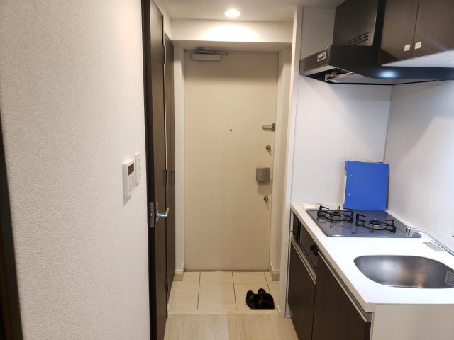 ラフィスタ新小岩Ⅲの玄関