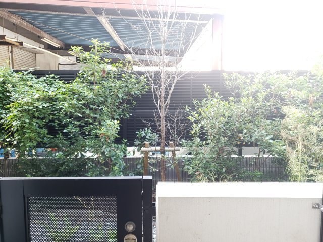 ラフィスタ新小岩Ⅲの展望