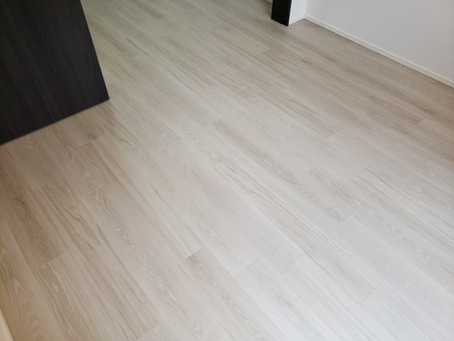 ラフィスタ新小岩Ⅲの内装
