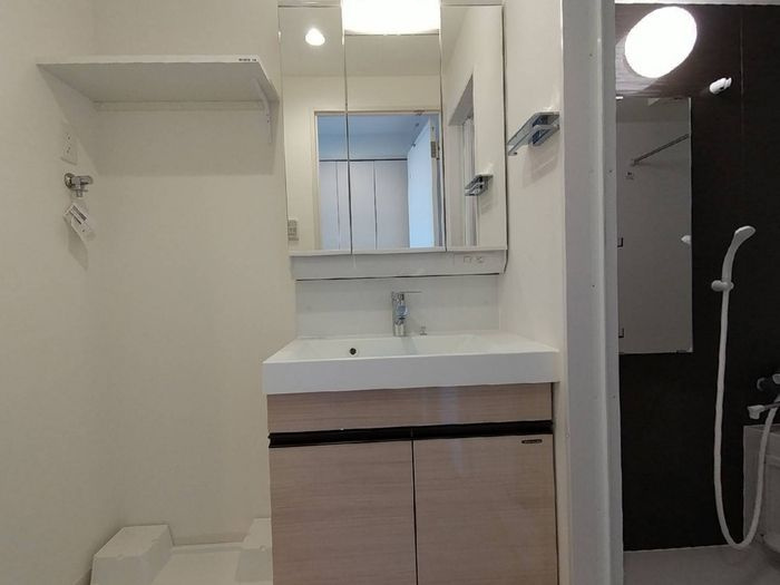 D-room早稲田の洗面所