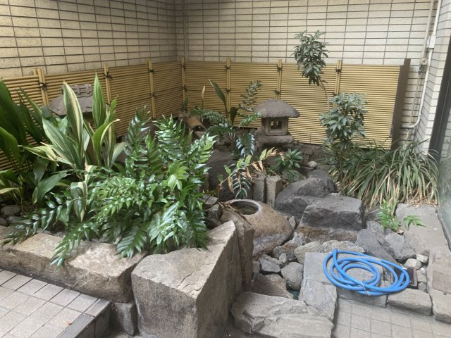 成城ハナビルの庭