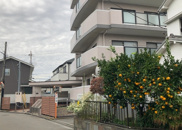 タウンコート南町田の画像